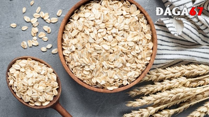 Yến mạch cũng là một loại ngũ cốc cho gà đá giàu dinh dưỡng