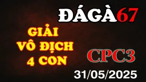 Full Clip Đá Gà Thomo C3 31/05/2025 – Giải Vô Địch 4 Con