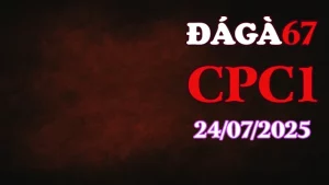 Full Clip Đá Gà 67 Trực Tiếp Thomo Hôm Nay C1 Ngày 24/07/2025 Mới Nhất