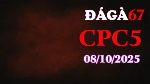 Clip gà chọi trực tiếp C5 full HD ngày 08/10/2025