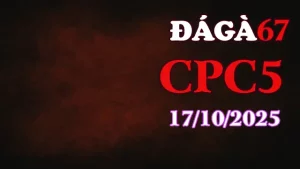 Clip gà chọi trực tiếp C5 full HD ngày 17/10/2025