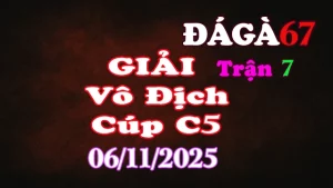Đá Gà Giải C5: A.CF789 B (6đ-đỏ) vs A.CF789 A (3đ-xanh)
