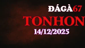 Đá Gà Trực Tiếp Tonhon Ngày 14122025 Không Giật Lag