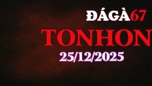 Live Đá Gà Tonhon Ngày 25122025