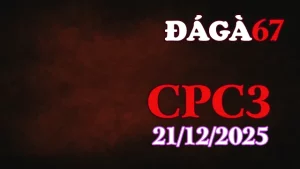 Xem clip đá gà CPC3 trực tiếp hôm nay 21122025