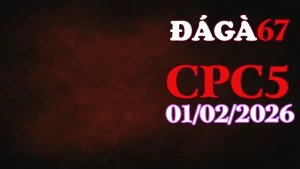 Tổng hợp video đá gà trực tiếp CPC5 hôm nay 01022026 mới nhất