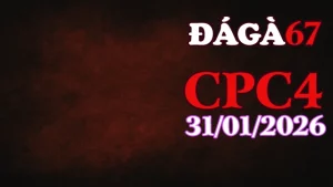 Trực tiếp đá gà Thomo CPC4 ngày 31012026