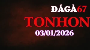 Video đá gà Tonhon hôm nay ngày 03012026 phát lại