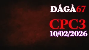 Clip đá gà CPC3 trực tiếp hôm nay 10022026 mới nhất