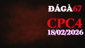 Tổng hợp Video đá gà trực tiếp CPC4 18022026 mới nhất hôm nay