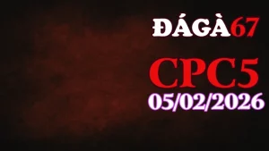 Video đá gà trực tiếp Thomo CPC5 ngày 05022026